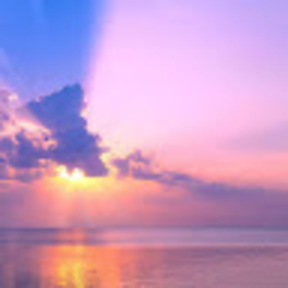 Meet your Posher, Toxic - Picture 1 of 1